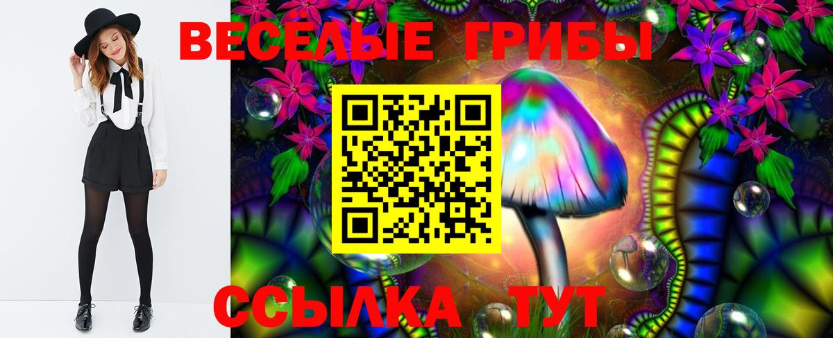 Псилоцибиновые грибы Psilocybe Похвистнево