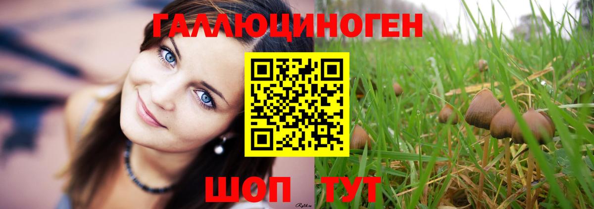 Похвистнево  Галлюциногенные грибы GOLDEN TEACHER  Вход с VPN  Галлюциногенные грибы прущие грибы 